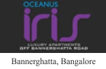 Oceanus Iris